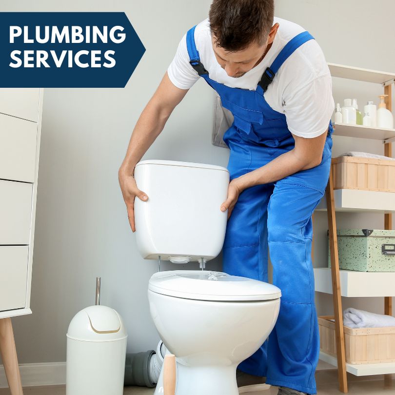 Plumbing Company in Worden, IL